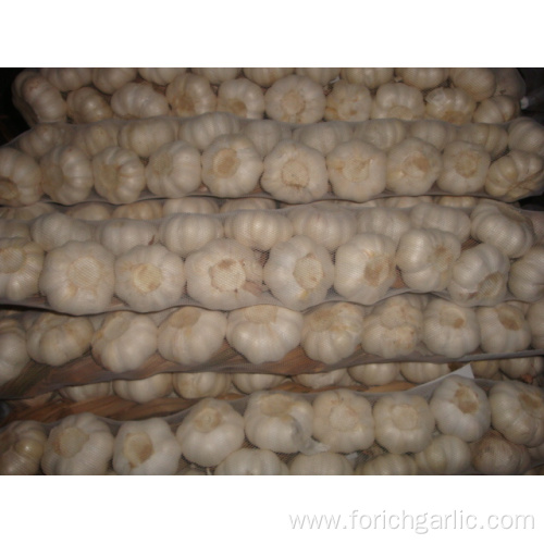 Good Quality Garlic Products Garlic Braids